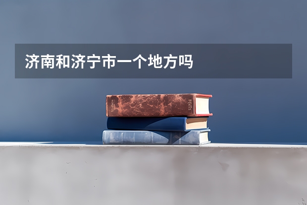 济南和济宁市一个地方吗