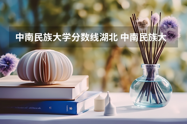 中南民族大学分数线湖北 中南民族大学少数民族分数线