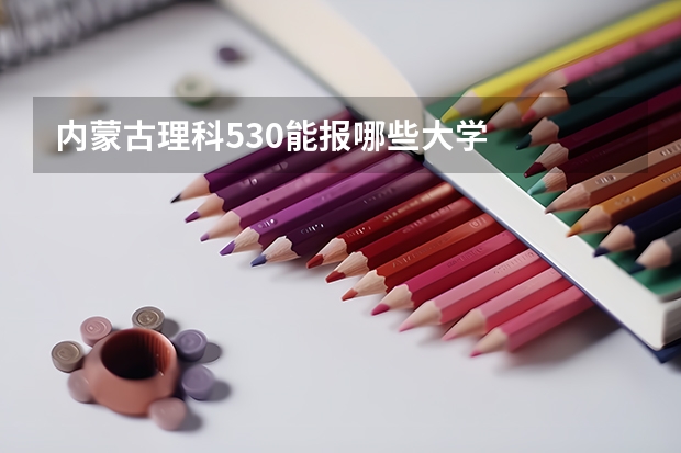 内蒙古理科530能报哪些大学