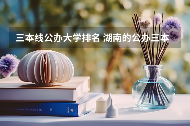 三本线公办大学排名 湖南的公办三本大学排名