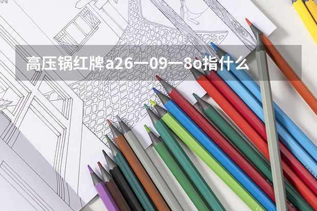 高压锅红牌a26一09一8o指什么意思