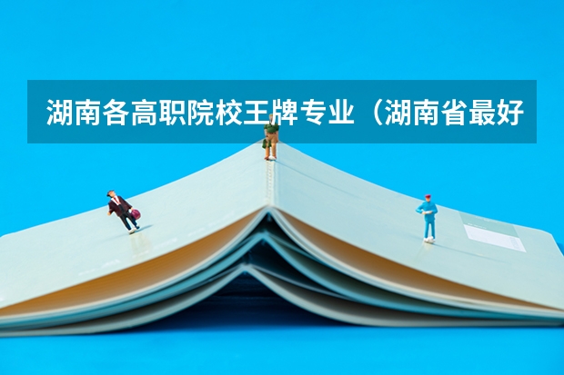 湖南各高职院校王牌专业（湖南省最好的大专公办学校排名）