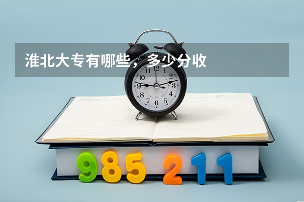 淮北大专有哪些，多少分收
