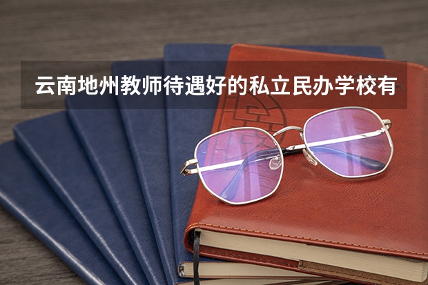 云南地州教师待遇好的私立民办学校有哪些