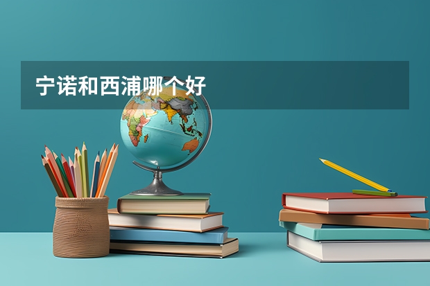 宁诺和西浦哪个好