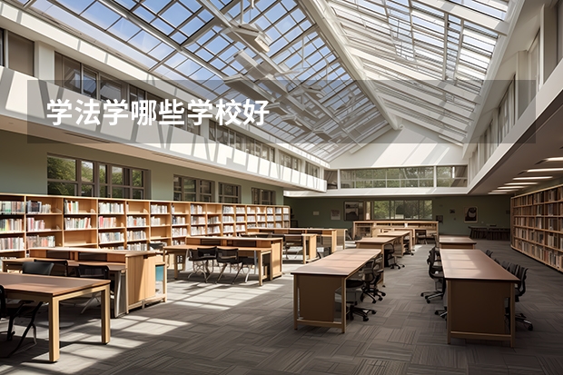 学法学哪些学校好