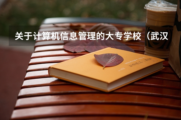 关于计算机信息管理的大专学校（武汉有那些大学设有信息管理专业）