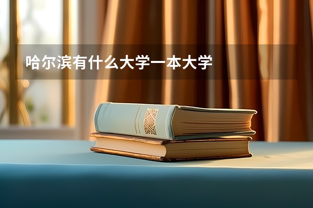 哈尔滨有什么大学一本大学