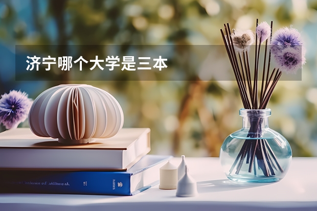济宁哪个大学是三本