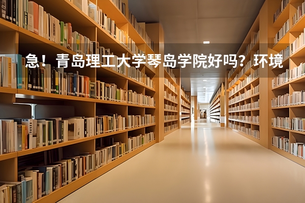急！青岛理工大学琴岛学院好吗？环境好吗？公办还是民办的？文凭被承认吗？宿舍怎样？是三本吧？