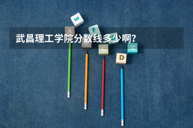 武昌理工学院分数线多少啊？