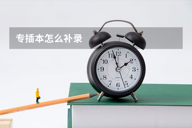 专插本怎么补录