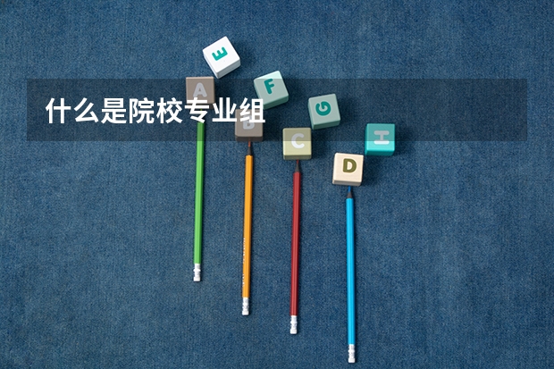 什么是院校专业组