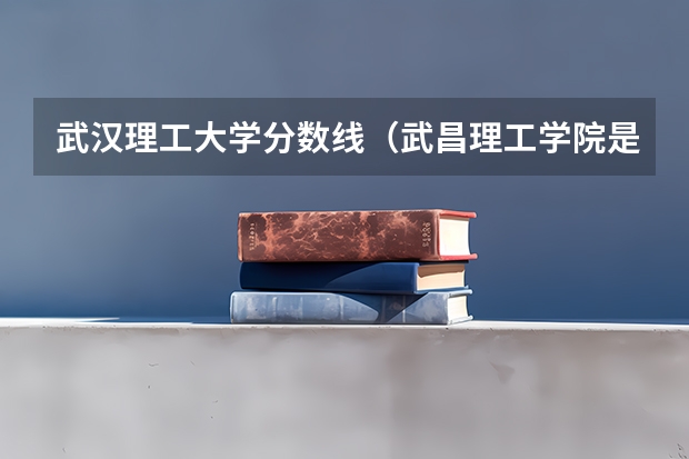 武汉理工大学分数线（武昌理工学院是几本）