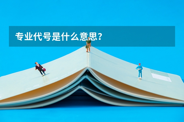 专业代号是什么意思？