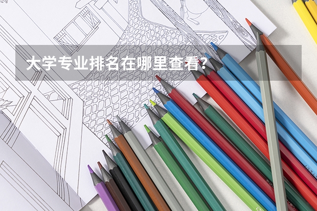 大学专业排名在哪里查看？