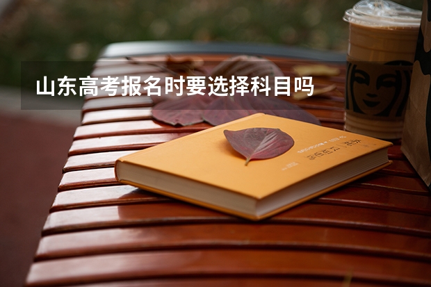 山东高考报名时要选择科目吗