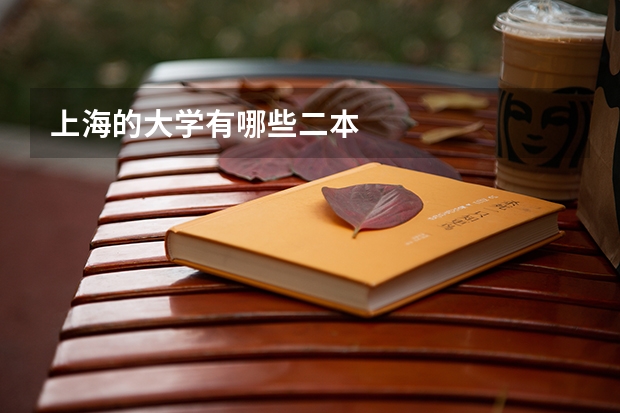 上海的大学有哪些二本
