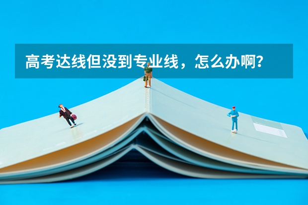 高考达线但没到专业线，怎么办啊？