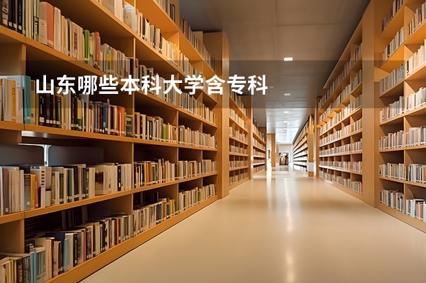 山东哪些本科大学含专科