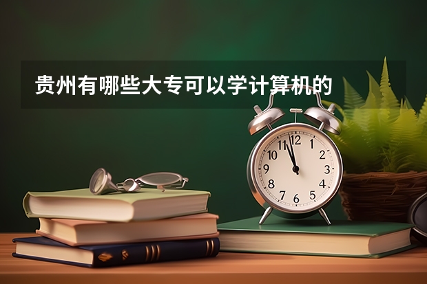 贵州有哪些大专可以学计算机的