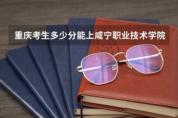 重庆考生多少分能上咸宁职业技术学院