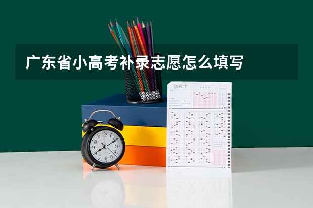 广东省小高考补录志愿怎么填写