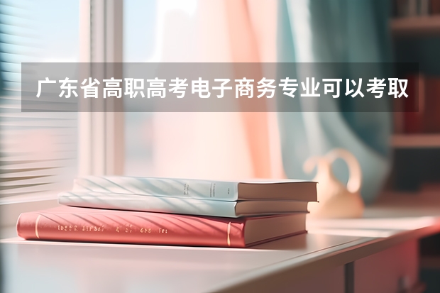 广东省高职高考电子商务专业可以考取哪些本科院校