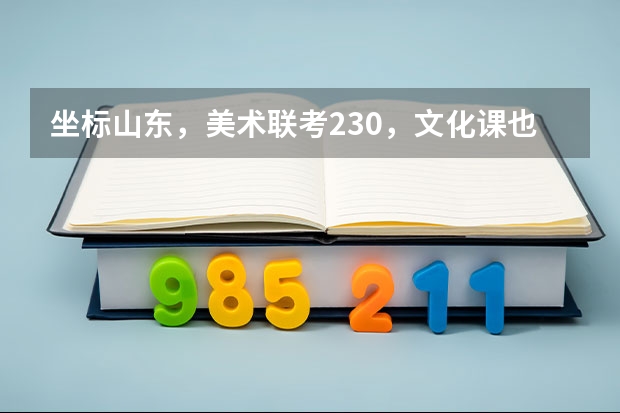 坐标山东,美术联考230,文化课也就370左右,能上本科吗