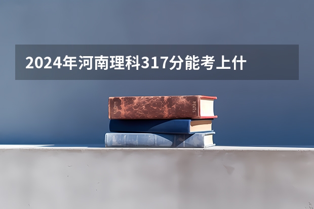 2024年河南理科317分能考上什么大学？