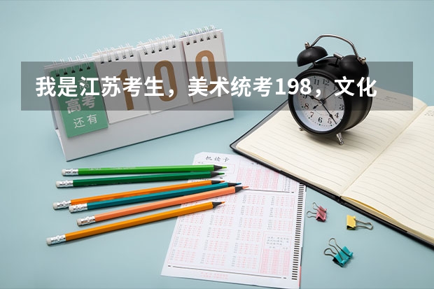 我是江苏考生，美术统考198，文化300左右，大概能上个什么学校呢？一本院校有希望吗？