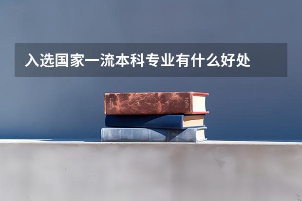 入选国家一流本科专业有什么好处