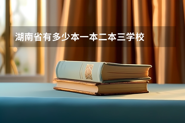 湖南省有多少本一本二本三学校