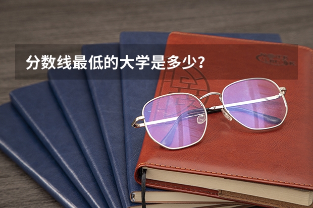 分数线最低的大学是多少？