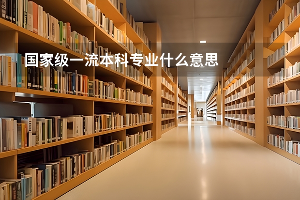 国家级一流本科专业什么意思