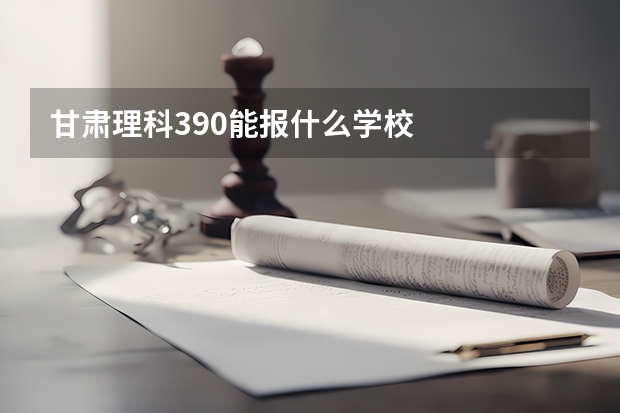 甘肃理科390能报什么学校