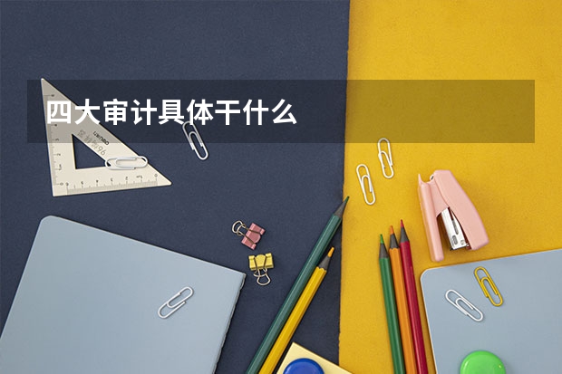 四大审计具体干什么