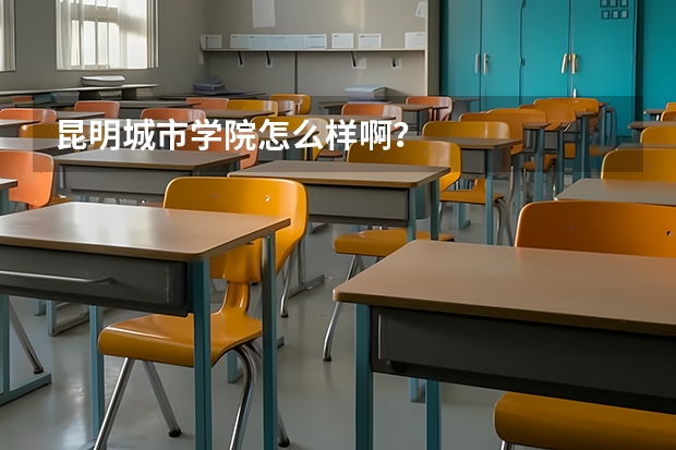 昆明城市学院怎么样啊？