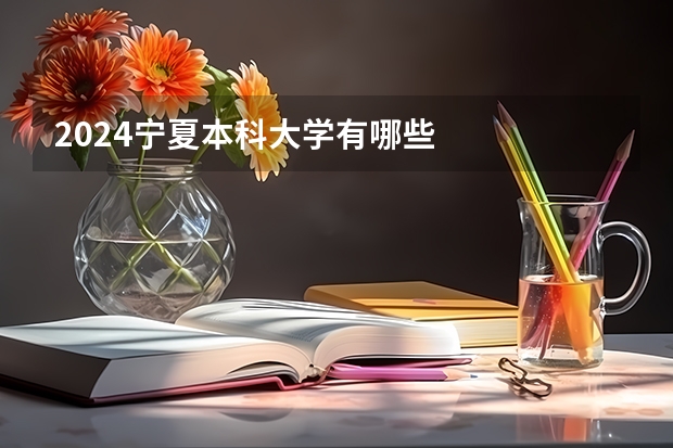 2024宁夏本科大学有哪些