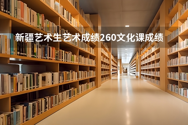 新疆艺术生艺术成绩260文化课成绩250能报哪些学校