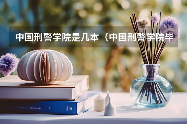 中国刑警学院是几本（中国刑警学院毕业后的工资待遇？）