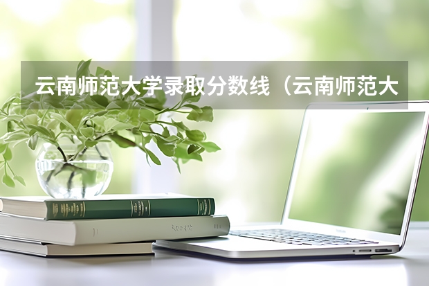 云南师范大学录取分数线（云南师范大学商学院艺术类专业校考成绩合格分数线）
