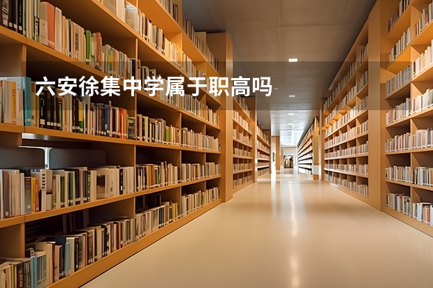 六安徐集中学属于职高吗