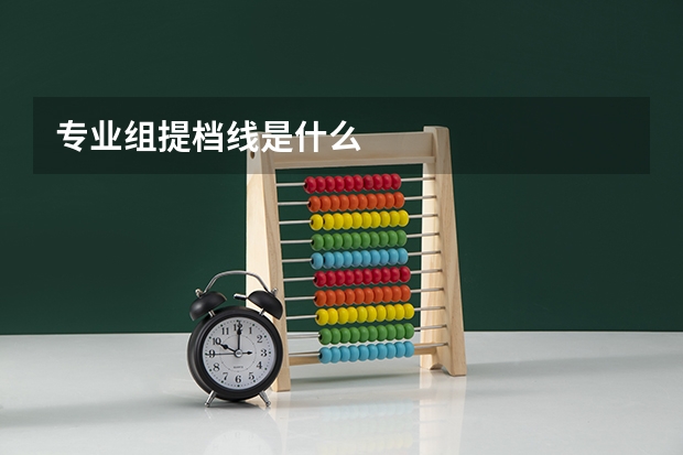 专业组提档线是什么