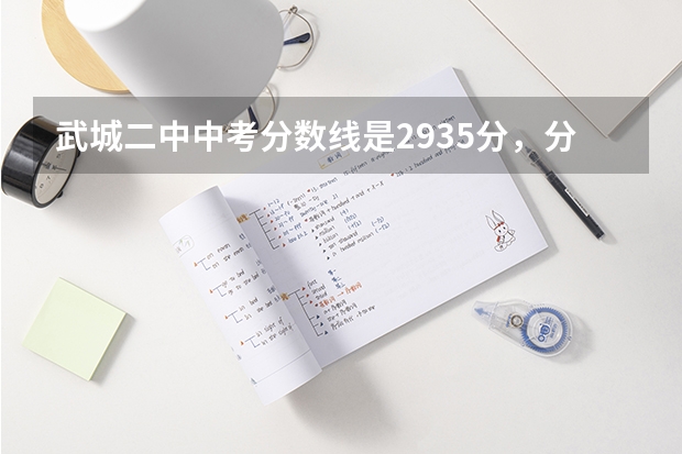武城二中中考分数线是293.5分，分数线?（山东武城二中录取分数线）