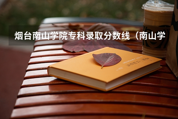 烟台南山学院专科录取分数线(南山学院 好不好??)