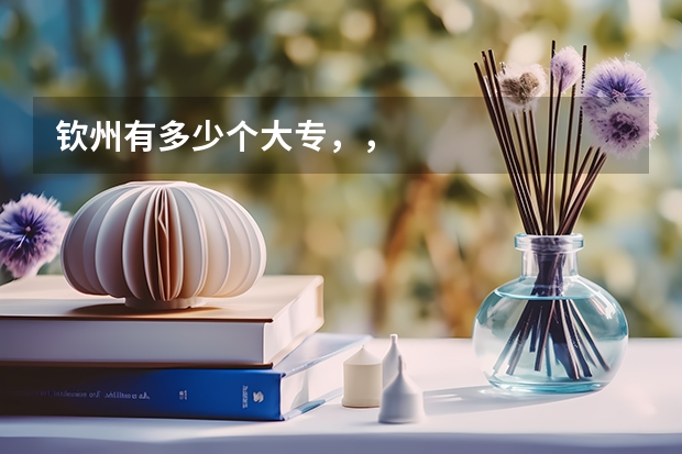 钦州有多少个大专，，