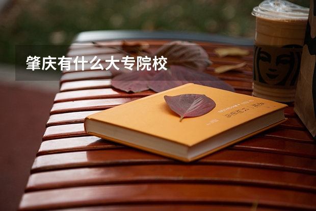 肇庆有什么大专院校