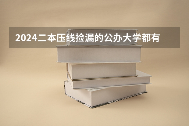 2024二本压线捡漏的公办大学都有哪些
