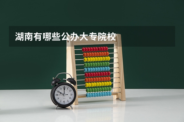湖南有哪些公办大专院校